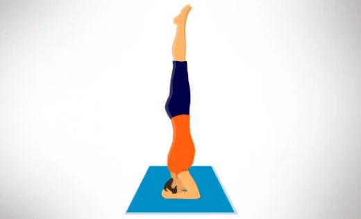 Sirsasana 6 Sirsasana