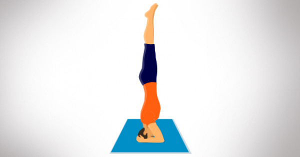 Sirsasana (Headstand Pose) - Yoga Asana